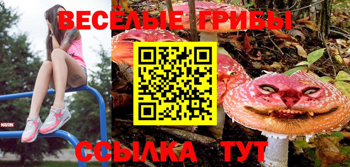 Галлюциногенные грибы Magic Shrooms  наркошоп  Тихвин  Вход с VPN 